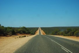 252465-and-another-long-straight-bit-of-road-kalbarri-australia